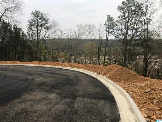 LOT#1 EAGLE POINT DRIVE LOT # 1, BIRMINGHAM, AL 35242 - Image 1