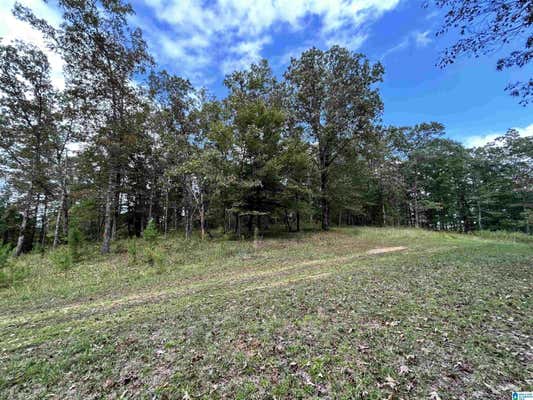 0 HARBOR POINTE DRIVE LOT # 4, DELTA, AL 36278 - Image 1