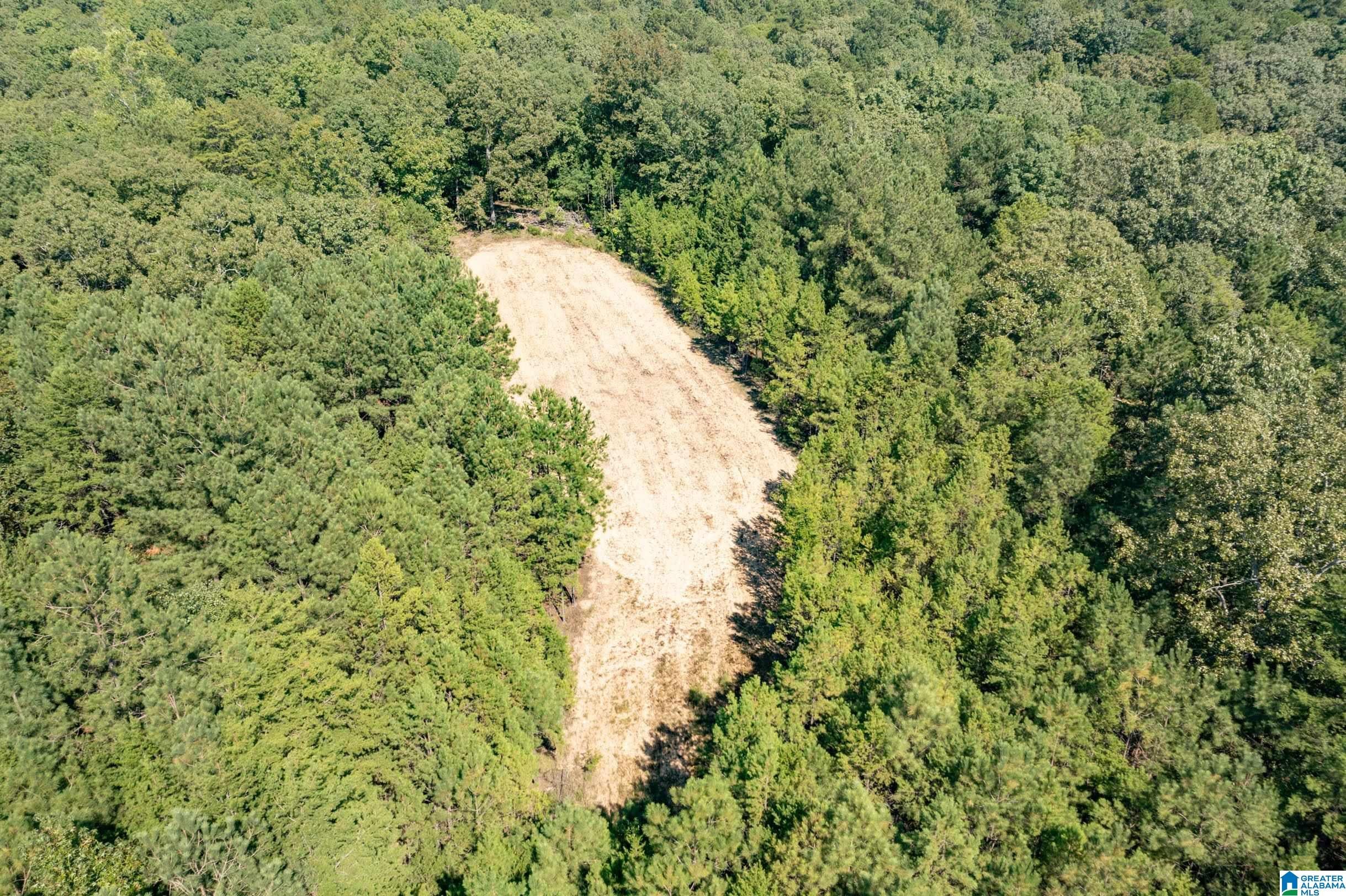 Mccalla, Alabama, 35111, United States, 4 Bedrooms Bedrooms, ,5 BathroomsBathrooms,Residential,Active,1963268