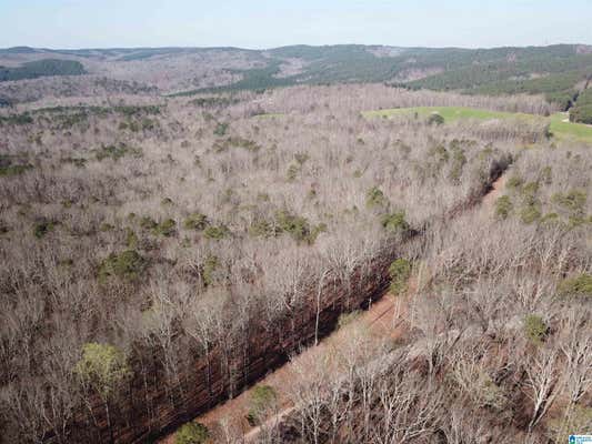 0 COUNTY ROAD 852 # 4, HEFLIN, AL 36264, photo 2 of 19