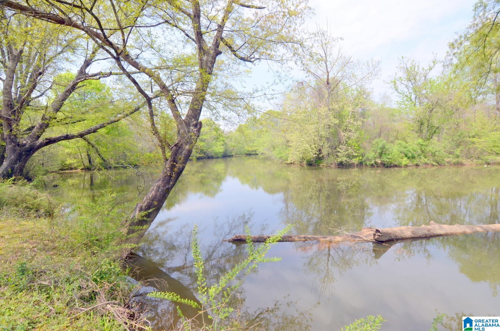 Wilsonville, Alabama, 35186, United States, ,3 BathroomsBathrooms,Residential,Contingent,1702998