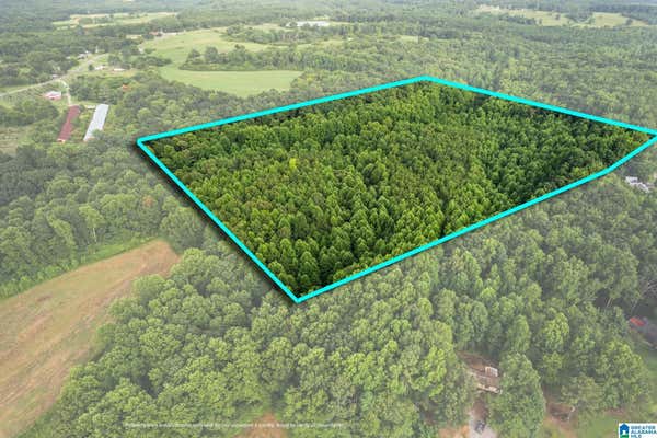 00 COUNTY ROAD 1152 # ACREAGE, CULLMAN, AL 35057 - Image 1