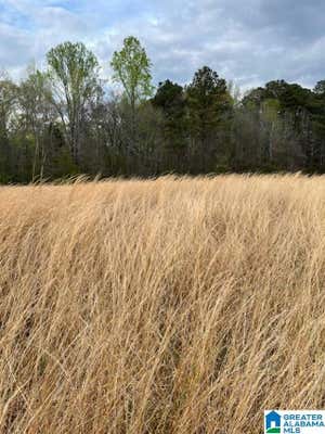 9534 HICKS RD # 3, PINSON, AL 35126, photo 3 of 5