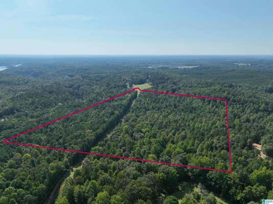 MARTIN SPUR ROAD, NORTHPORT, AL 35473 - Image 1