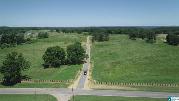 HIGHWAY 57, BLOUNTSVILLE, AL 35031 - Image 1