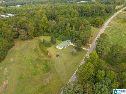 7911 COUNTY ROAD 49, RANBURNE, AL 36273 - Image 1