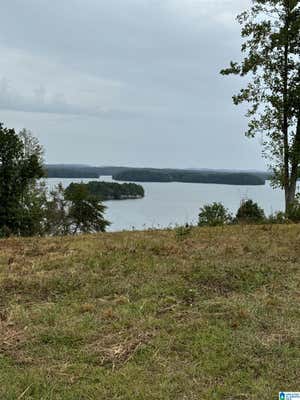 OVERLOOK DRIVE, LINEVILLE, AL 36266 - Image 1