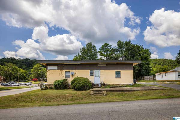 500 4TH AVE E, ONEONTA, AL 35121 - Image 1