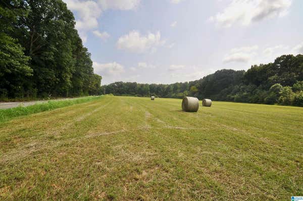 13 ACRES COUNTY ROAD 1549 # 13 ACRES, EVA, AL 35058, photo 2 of 47