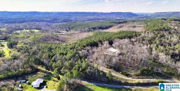 0 COUNTY ROAD 504 # 0, HANCEVILLE, AL 35077, photo 2 of 6