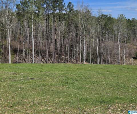 3303 COUNTY ROAD 341 # LOT, MAPLESVILLE, AL 36750, photo 4 of 21