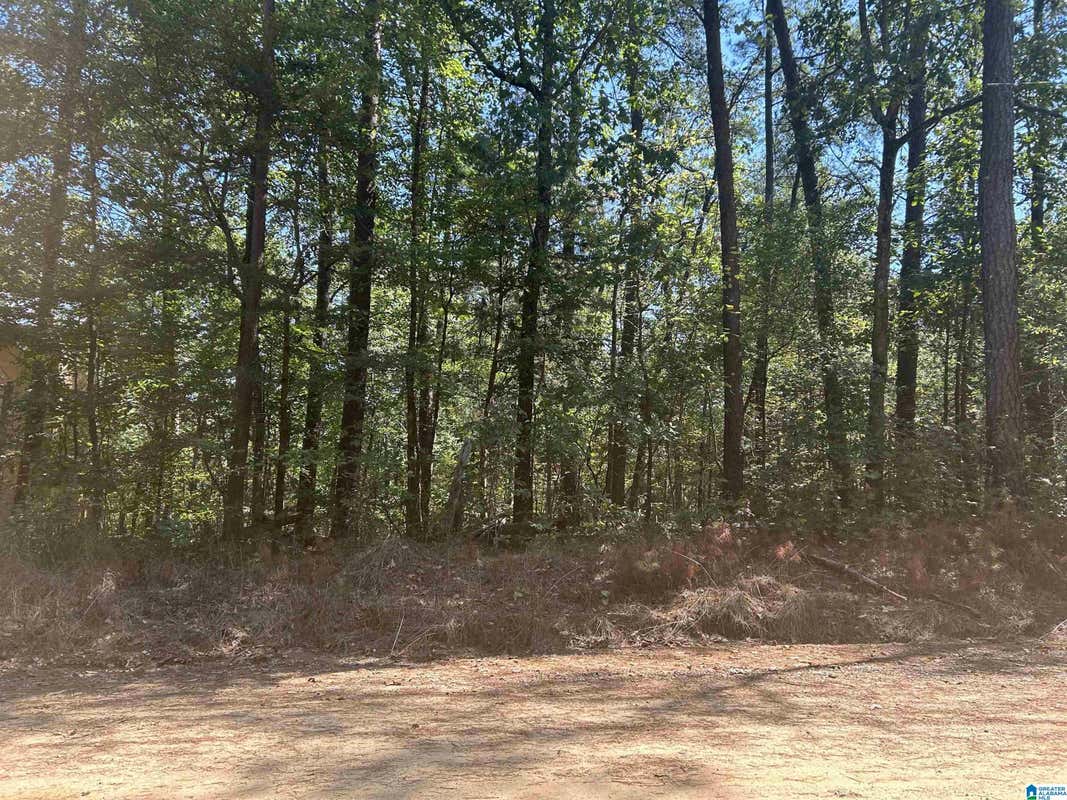 LOT 3 CLYDE CIRCLE # 3, MCCALLA, AL 35111, photo 1 of 5