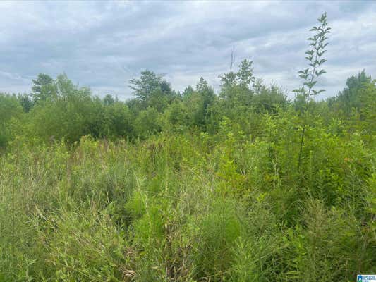 0 HIGHWAY 78 # TRACT 2, MUSCADINE, AL 36262 - Image 1