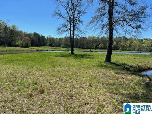 1901 LAY DAM RD, CLANTON, AL 35045, photo 2 of 10