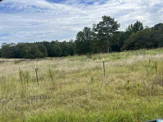 14 ACRES+/- COUNTY ROAD 65 # 1, ROANOKE, AL 36274 - Image 1