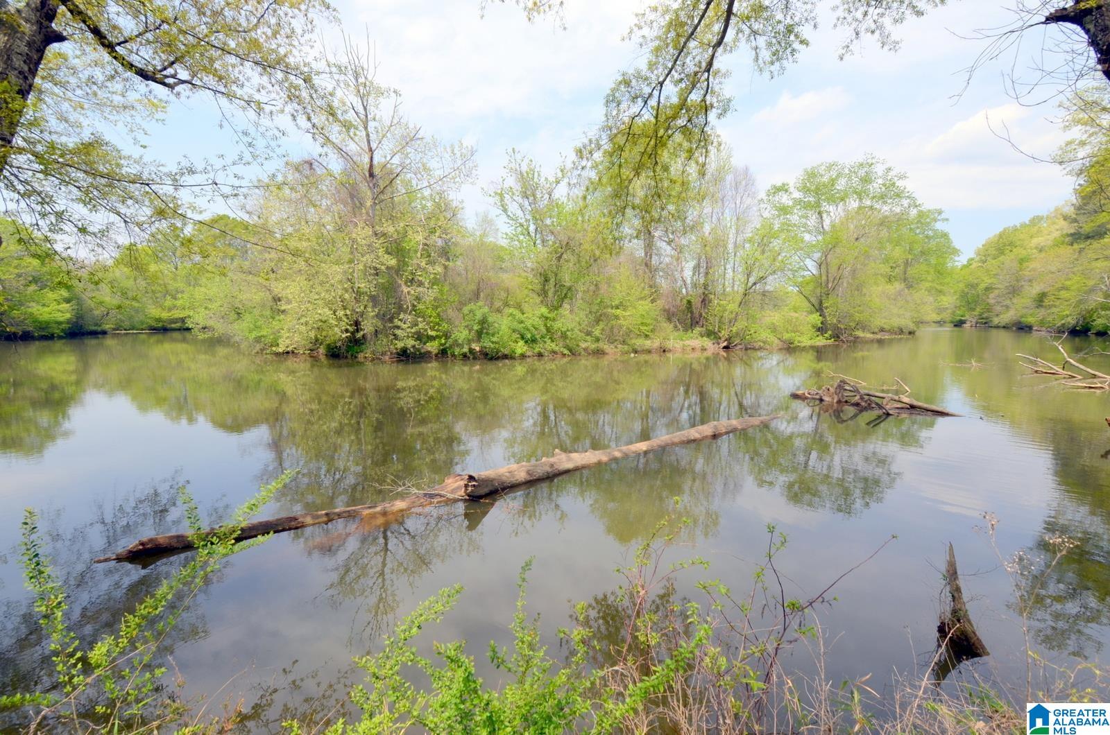 Wilsonville, Alabama, 35186, United States, ,3 BathroomsBathrooms,Residential,Contingent,1702998