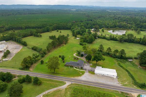 21212 US HIGHWAY 11, STEELE, AL 35987 - Image 1