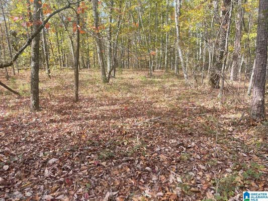 36 ACRES COUNTY ROAD 30 # 1, COLUMBIANA, AL 35051 - Image 1