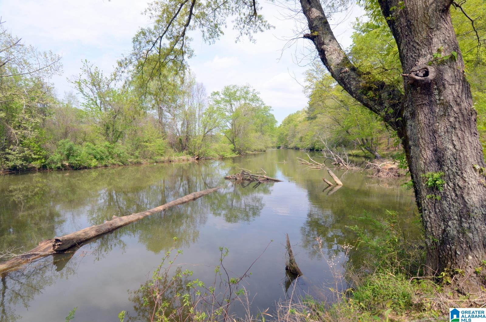 Wilsonville, Alabama, 35186, United States, ,3 BathroomsBathrooms,Residential,Contingent,1702998