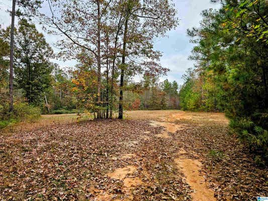 UNKN COUNTY ROAD 60 # 0, HEFLIN, AL 36264, photo 4 of 17