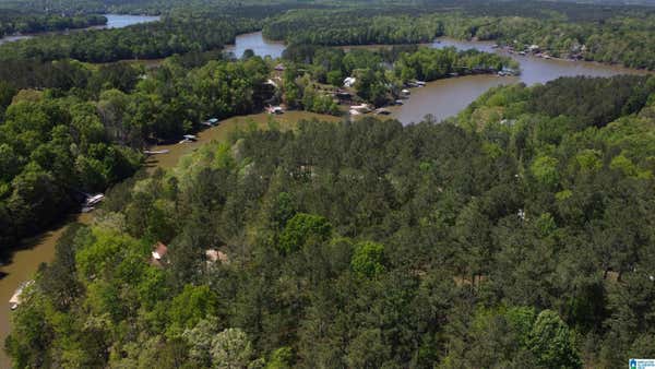 LAKE GENEVA DRIVE, WEDOWEE, AL 36278 - Image 1