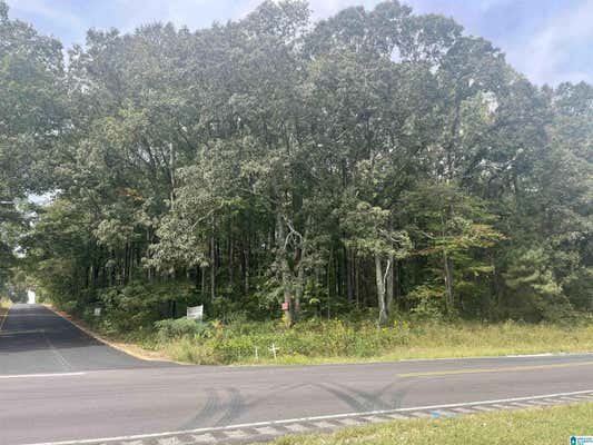 5.7 ACRES HIGHWAY 431, ROANOKE, AL 36274 - Image 1