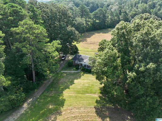 3678 STATE HIGHWAY 132, ONEONTA, AL 35121 - Image 1