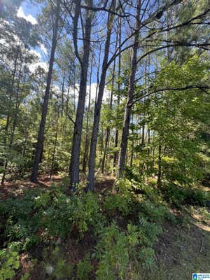 0 COUNTY ROAD 38 # LOT 1, JEMISON, AL 35085 - Image 1