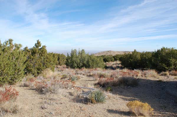 0000 VIC LINDA MESA JUNIPER H, JUNIPER HILLS, CA 93543 - Image 1