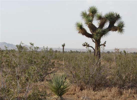 3129171060000 CAUGHLIN ROAD, ADELANTO, CA 92301 - Image 1