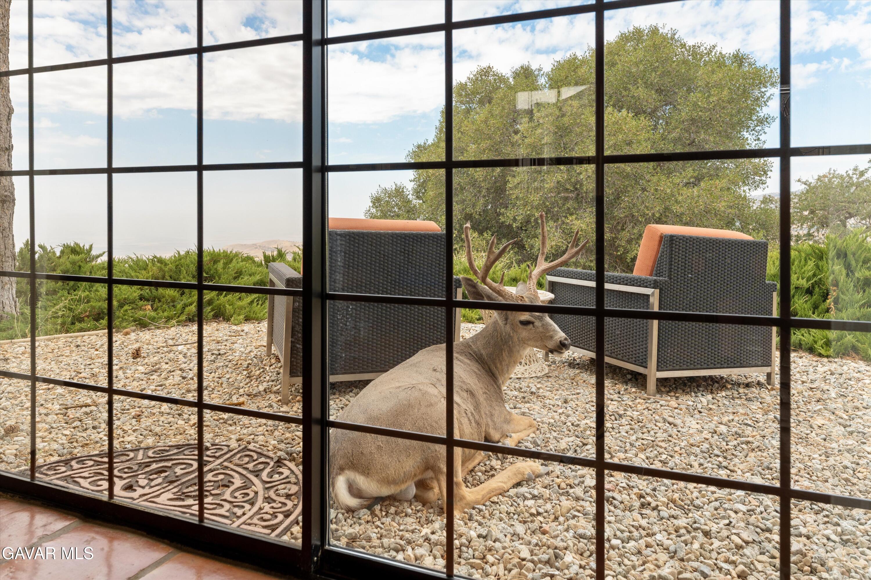 Tehachapi, California, 93561, United States, 4 Bedrooms Bedrooms, ,4 BathroomsBathrooms,Residential,Active,1929779