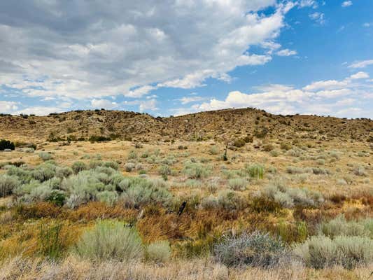 VAC BARREL SPRINGS & 47TH E STREET, PALMDALE, CA 93550 - Image 1