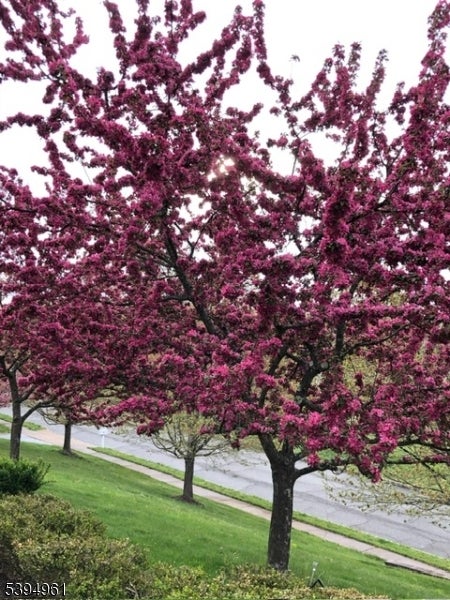 Mount Olive Twp., New Jersey, 07836, United States, 4 Bedrooms Bedrooms, ,4 BathroomsBathrooms,Residential,Active,1989757