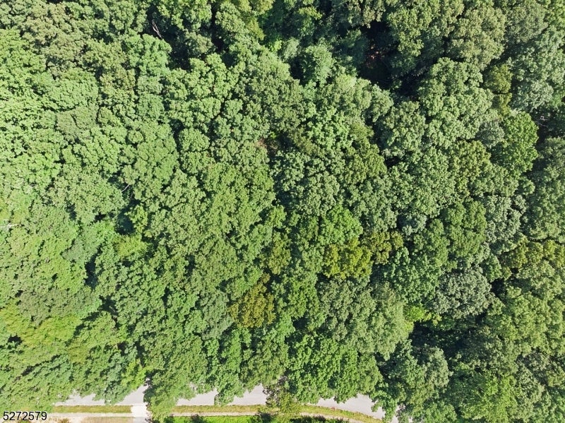 Washington Twp., New Jersey, 07853, United States, ,5 BathroomsBathrooms,Residential,Active,1780322