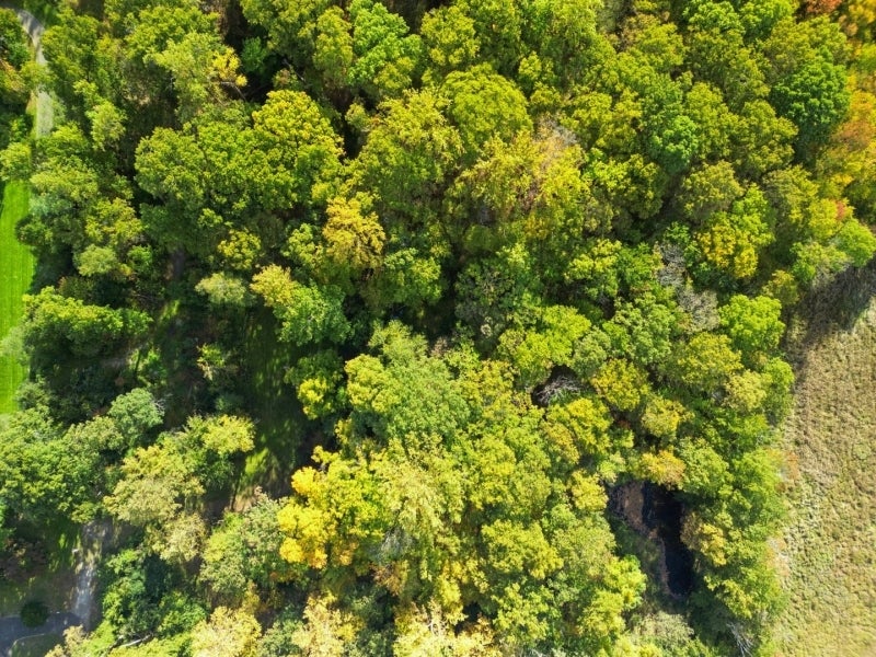 Chatham Twp., New Jersey, 07935, United States, 3 Bedrooms Bedrooms, ,1 BathroomBathrooms,Residential,Active,1894566