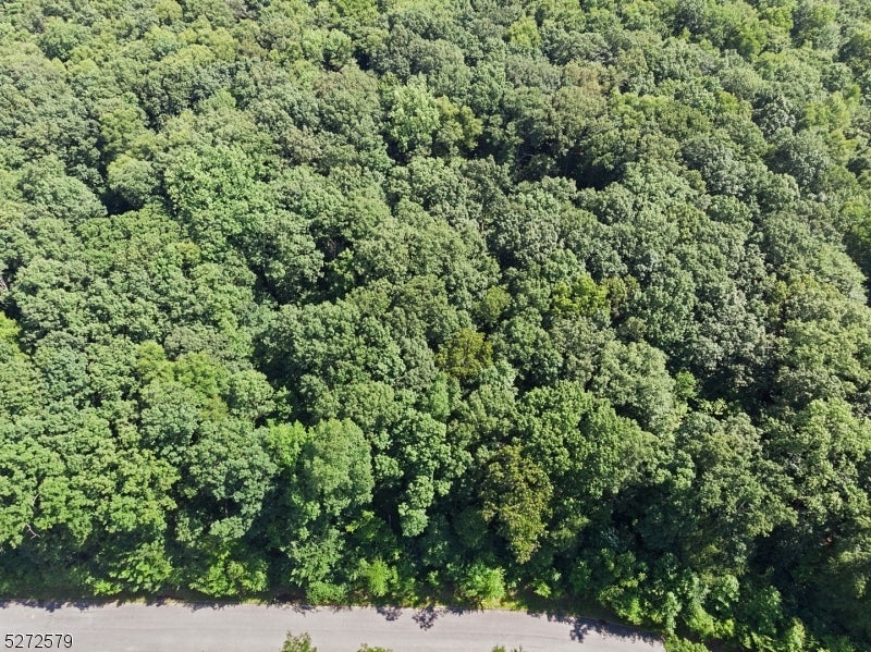 Washington Twp., New Jersey, 07853, United States, ,5 BathroomsBathrooms,Residential,Active,1780322