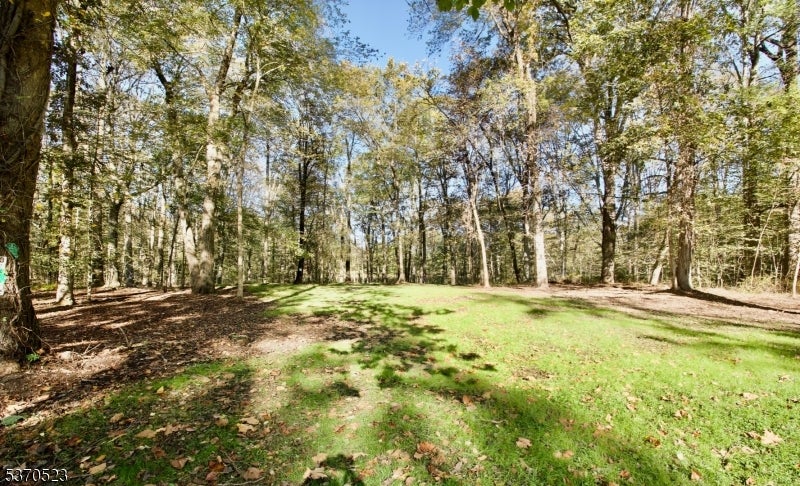 Chatham Twp., New Jersey, 07935, United States, 3 Bedrooms Bedrooms, ,1 BathroomBathrooms,Residential,Active,1894566