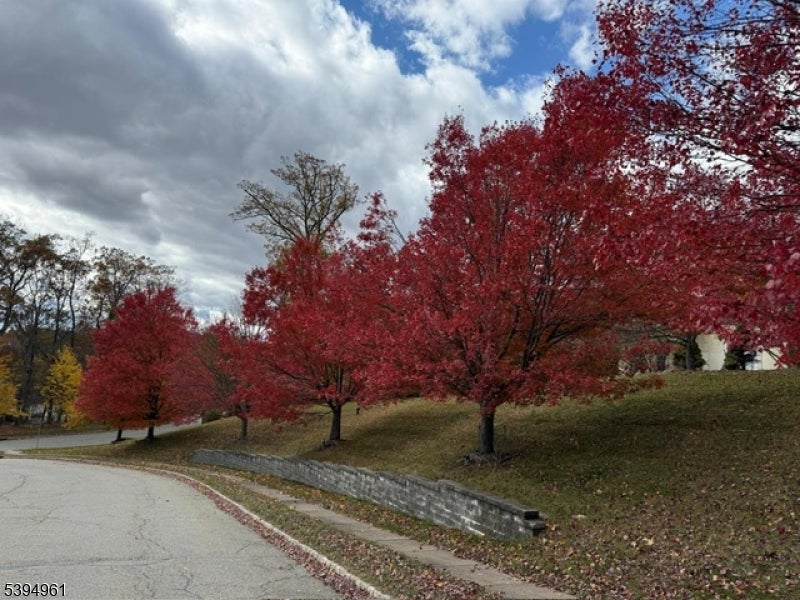 Mount Olive Twp., New Jersey, 07836, United States, 4 Bedrooms Bedrooms, ,4 BathroomsBathrooms,Residential,Active,1989757