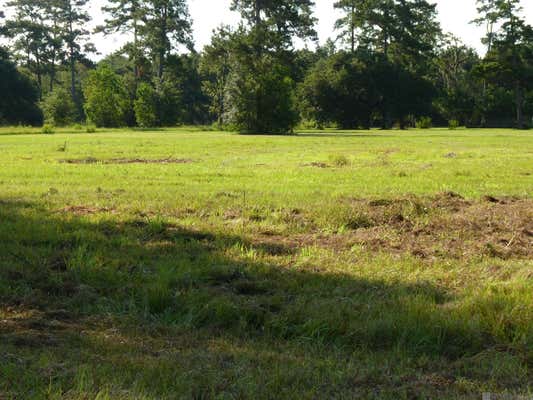 LOT 11 LYNDA, KILLIAN, LA 70462 - Image 1