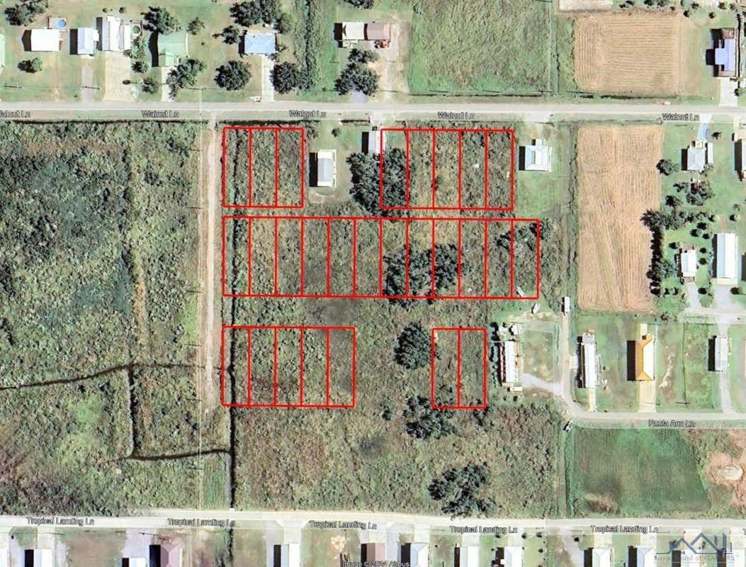 TBD WALNUT LN, GRAND ISLE, LA 70358, photo 1 of 4