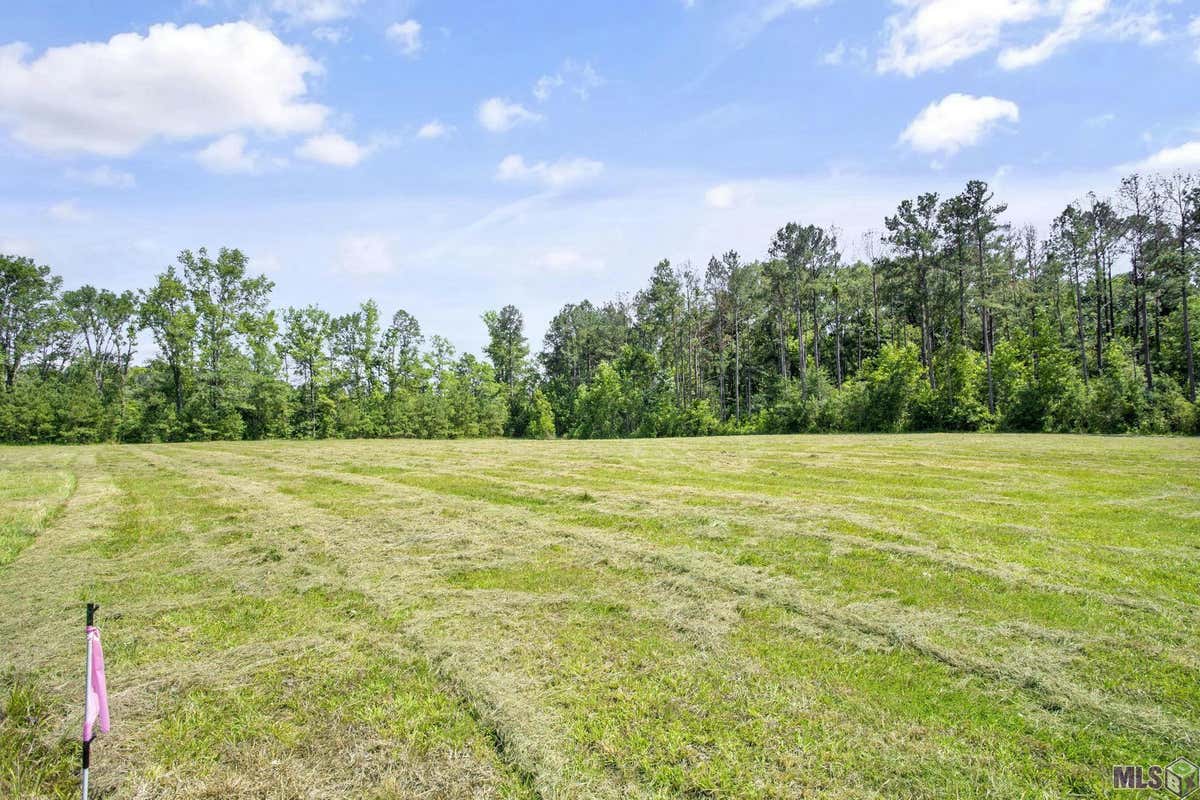 LOT 2 FREELAND RD, ST FRANCISVILLE, LA 70775, photo 1 of 16