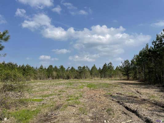 TRACT 14 LORIN WALL RD, HOLDEN, LA 70774 - Image 1