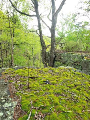 0 BRIDAL VEIL, MONTEAGLE, TN 37356, photo 2 of 21