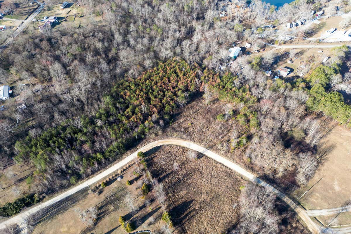 3 ACRES DENVIL DR, TRENTON, GA 30752, photo 1 of 19