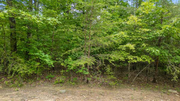 LOT 419 TALL TREE TR, DUNLAP, TN 37327, photo 4 of 25