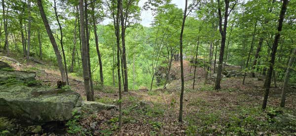 0 BRIDAL VEIL, MONTEAGLE, TN 37356, photo 4 of 21