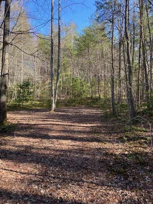 137 ROCKY FORD SPUR, TURTLETOWN, TN 37391 - Image 1