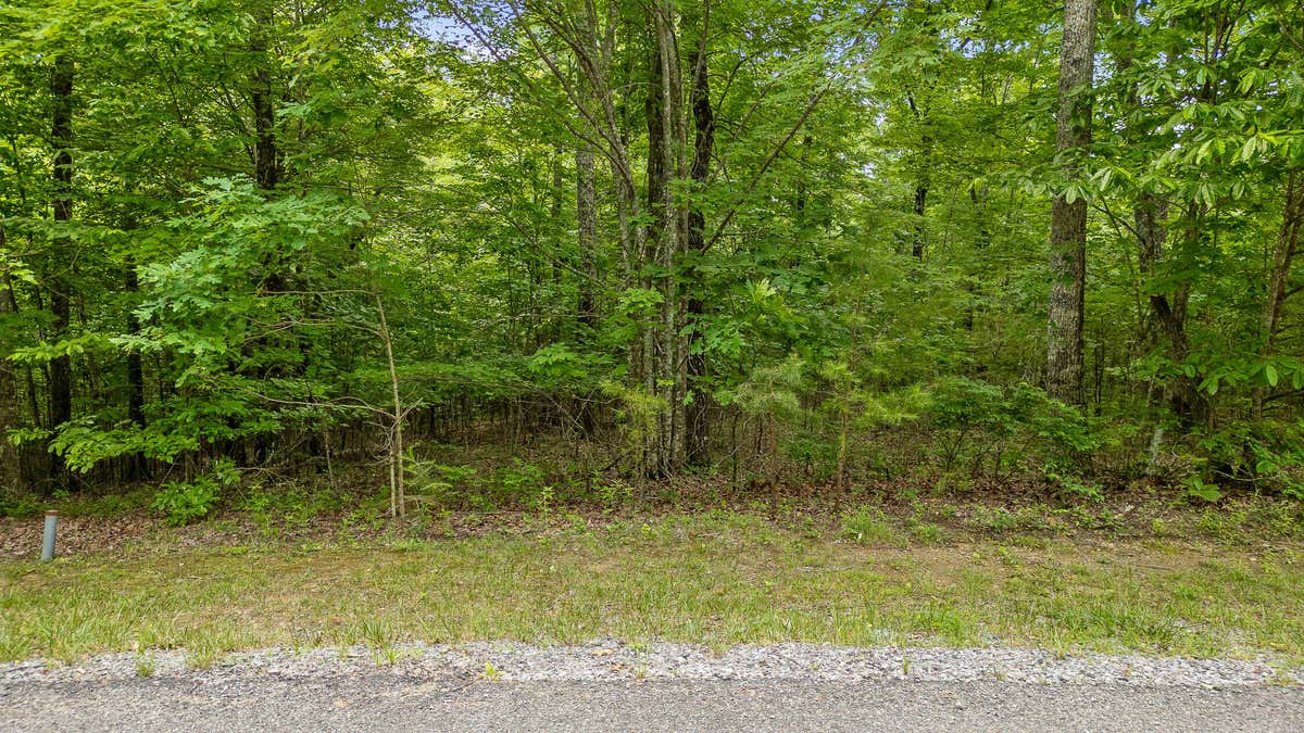 LOT 419 TALL TREE TR, DUNLAP, TN 37327, photo 1 of 25