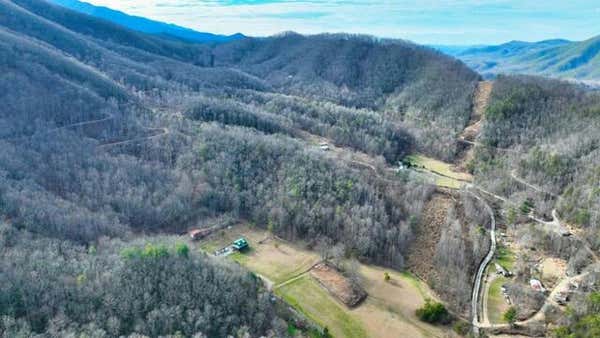 0 RAMSEY RD RD, COSBY, TN 37722 - Image 1