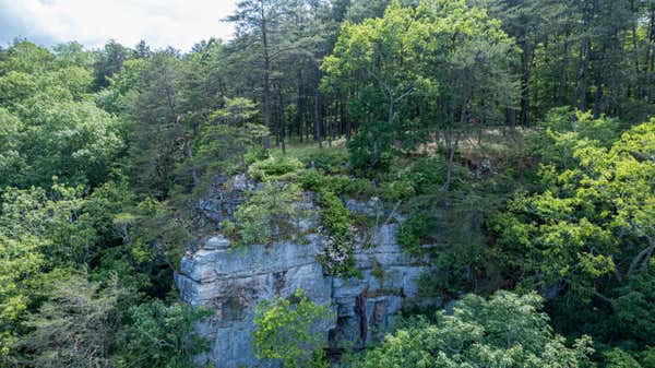 0 BRIDAL VEIL, MONTEAGLE, TN 37356, photo 5 of 21